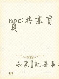 npc:共享宝贝
