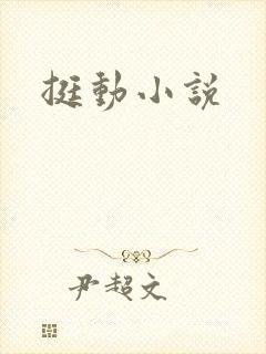 挺动小说
