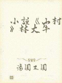 小说《山村情事》林大牛封面