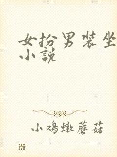 女扮男装坐江山小说