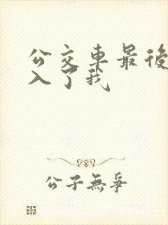 公交车最后一排入了我