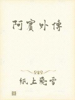 阿宾外传