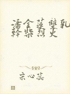 潘金莲双乳晃动干柴烈火封面