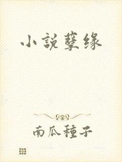 小说孽缘