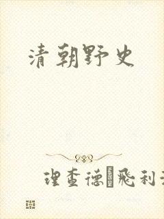 清朝野史