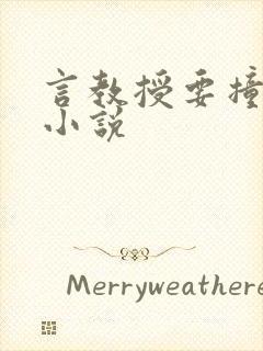 言教授要撞坏了小说