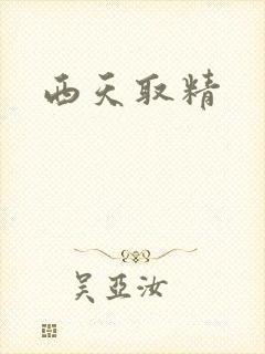 西天取精封面