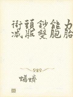 街头钞能力无删减版双胞胎