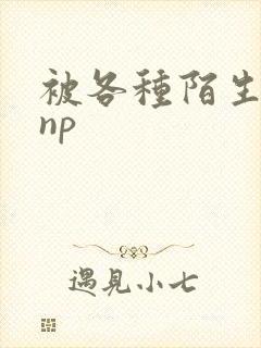 被各种陌生人 np