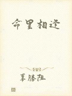 命里相逢