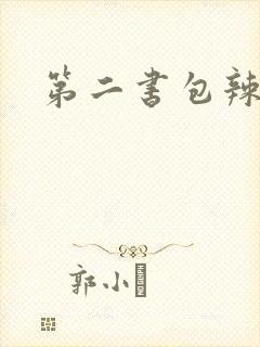 第二书包辣文
