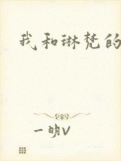 我和琳梵的故事