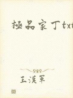 极品家丁txt