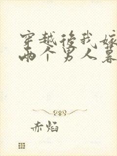 穿越后我嫁给了两个男人暮色酒歌