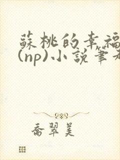 苏桃的幸福生活(np)小说笔趣阁沐沐