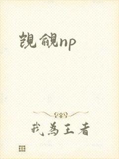 觊觎np