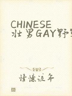 CHINESE壮男GAY野战强迫TUBE