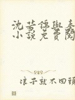 沈若锦与秦琅的小说免费阅读