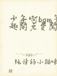 少年啊bgm笔趣阁免费阅读全文下载