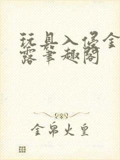 玩具入侵金银花露笔趣阁