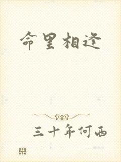 命里相逢封面