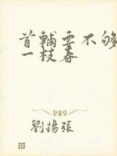 首辅要不够po一枝春