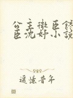 公主微臣馋了微臣沈妤小说