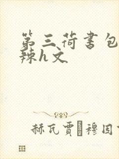 第三荷书包网高辣h文