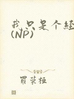 我只是个经纪人(NP)