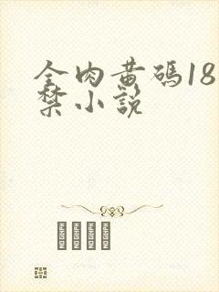 全肉黄码18无禁小说