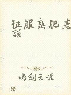 征服熟肥老妇小说