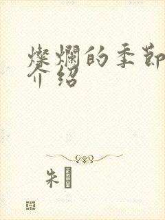 灿烂的季节剧情介绍