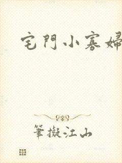 宅门小寡妇