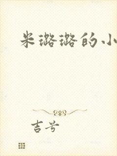 米璐璐的小说