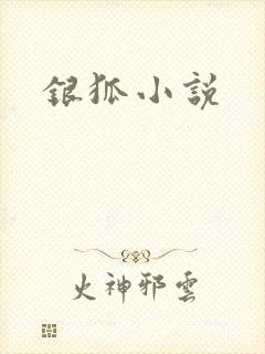 银狐小说