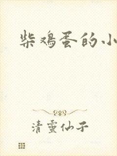 柴鸡蛋的小说