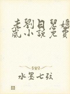 老刘日儿媳妇张岚小说免费阅读