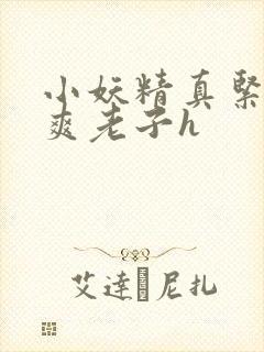 小妖精真紧h嘶爽老子h封面