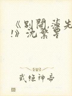 《别闹,薄先生!》沈繁星