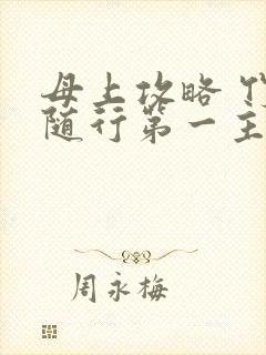 母上攻略 竹影随行第一主板