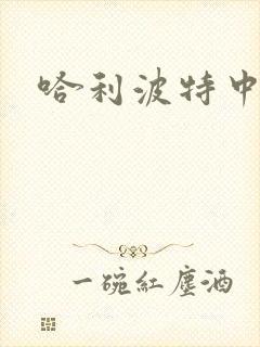 哈利波特中文版封面