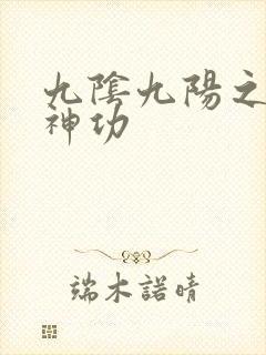 九阴九阳之阴阳神功