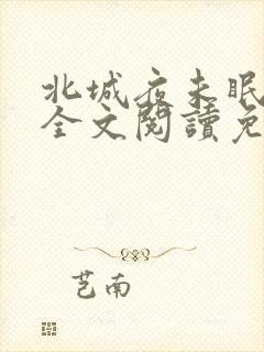 北城夜未眠小说全文阅读免费