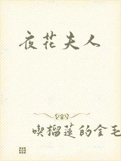 夜花夫人