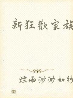 新狂欢家族小说