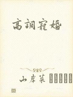 高调宠婚