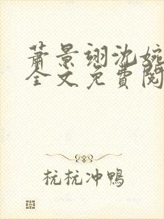 萧景翊沈婉小说全文免费阅读