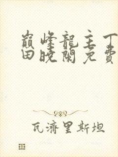 巅峰龙主丁长顺田晓兰免费阅读