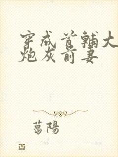 穿成首辅大人的炮灰前妻