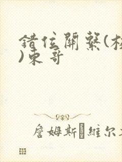 错位关系(校园)东哥